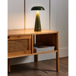 Catiana Metal USB Table Lamp