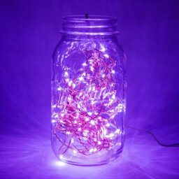 LED Indoor / Outdoor String Lights