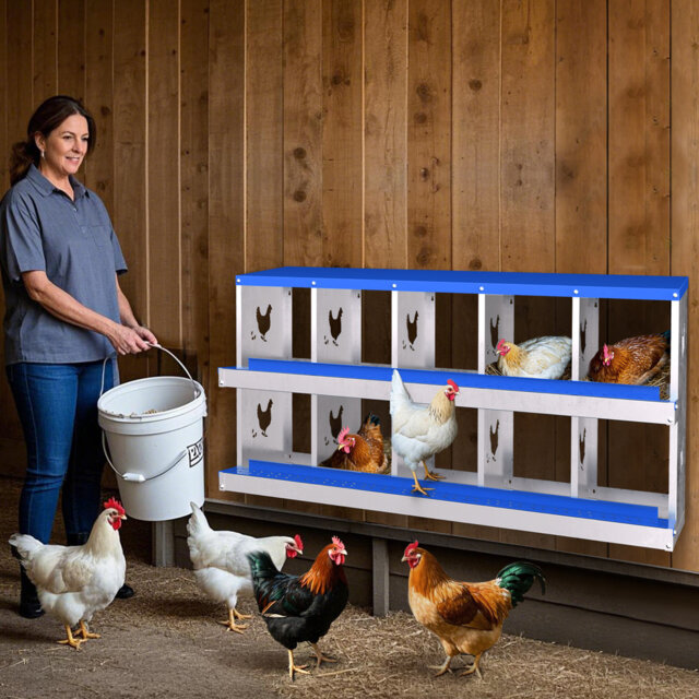 Chicken Coop