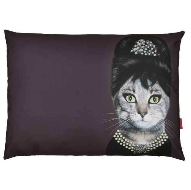 Breakfast - Pets Rock - Luxury Dog Bed