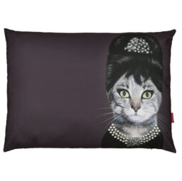 Breakfast - Pets Rock - Luxury Dog Bed