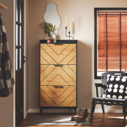 10 Pair Shoe Storage Cabinet