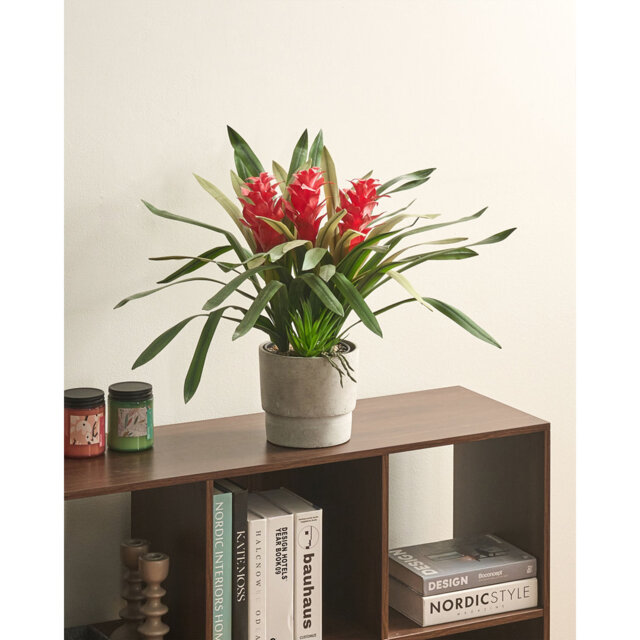 50cm Faux Flowering Plant in Pot