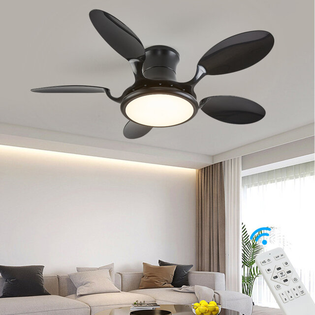 Argimiro 122cm Ceiling Fan with LED Lights