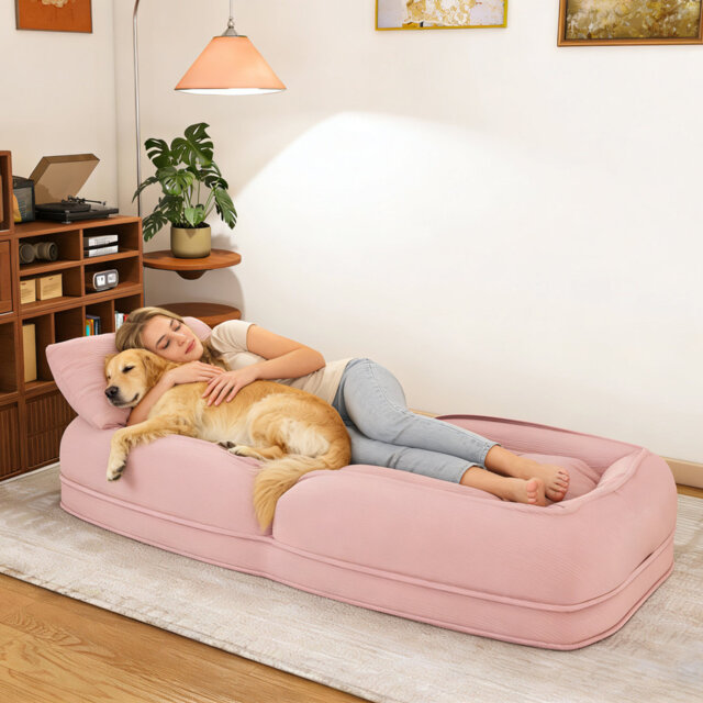 Bean Bag Sofa