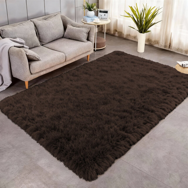 Indoor / Outdoor Living Room Area Rug