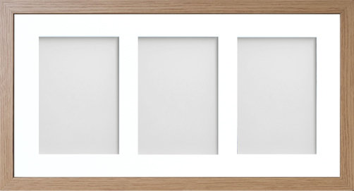 Albarran Matte Picture Frame with Mat