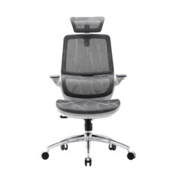 Mesh Office Chair, with Adjustable 3D Folding armrests, Dual-back Design