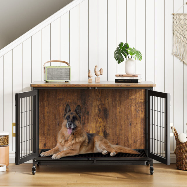 Dog House