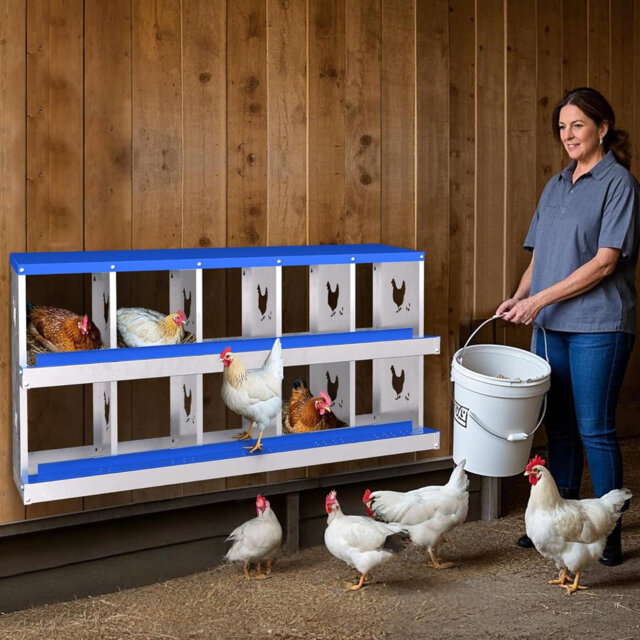 10-Hole Metal Chicken Nesting Box for Hens - Chicken Coop Laying Boxes, Easy Egg Collection & Cleaning, Durable Nest Box for Backyard Chickens/Ducks,