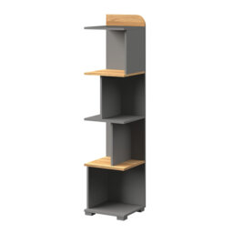 Eutropios Bookcase