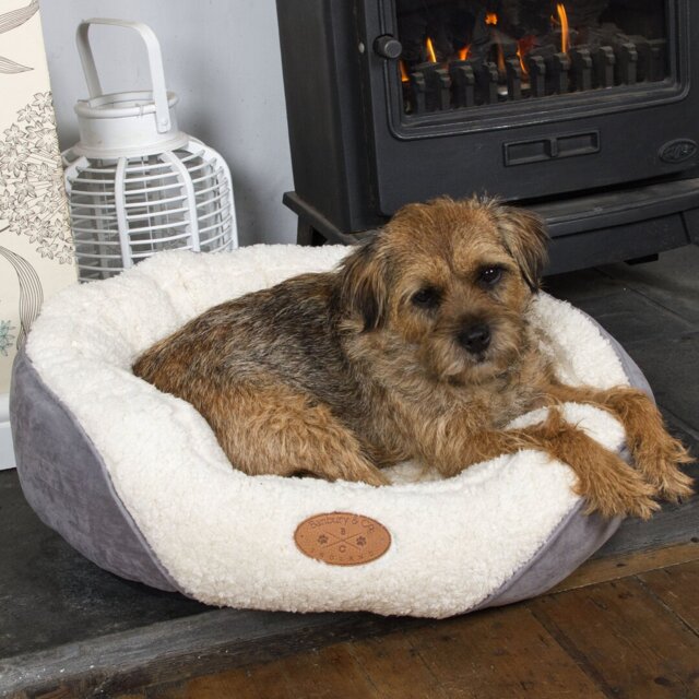 Chisdock Faux Suede Pet Bed