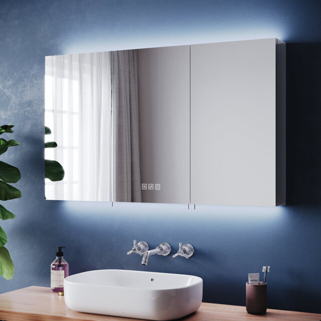 100mm W 60mm H Medicine Cabinet Mirror 5 Adjustable
