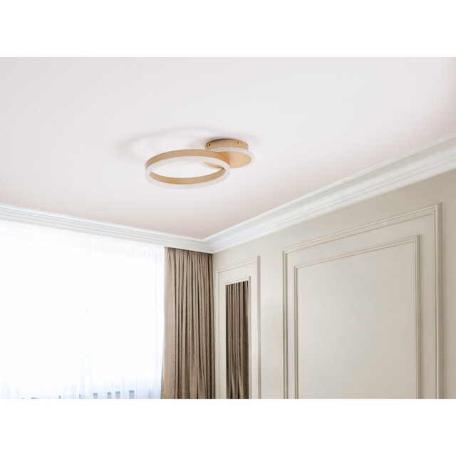 Ameeta LED Flush Mount