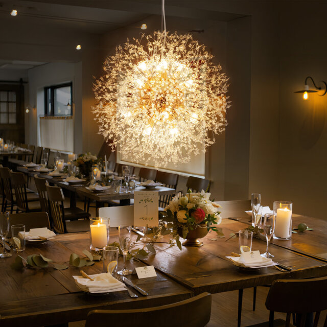 Dandelion 16-Light Sputnik Crystal Chandelier Starburst Sunburst Ceiling Lighting