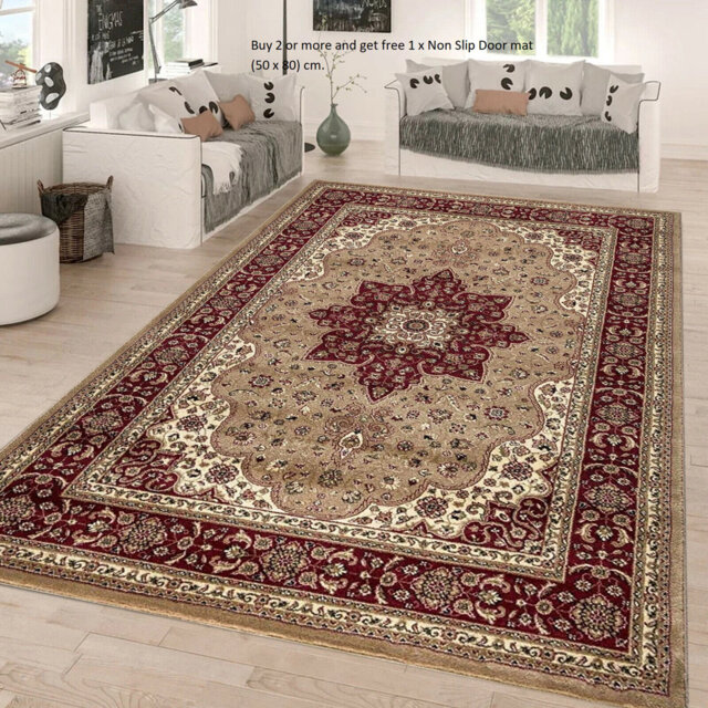 Modern Traditional Floral  Rugs Large Area Rug for Living Room Bedroom Carpet