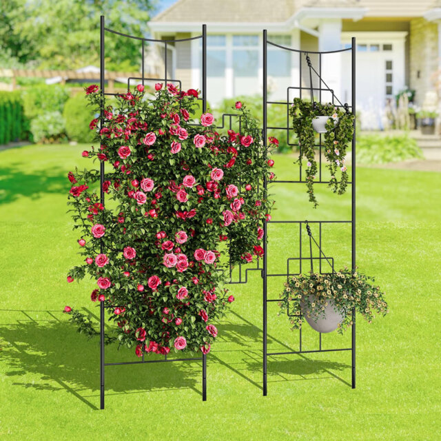 Heavy Duty Black Metal Garden Trellis and Decorative Fence Panels â Rustproof Outdoor Plant Support, Tall Baroque Trellis, Animal Barrier with Gate,
