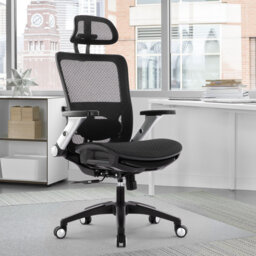 Hopeworth Ergonomic Mesh Office Chair with Adjustable Arms & Swivel Base