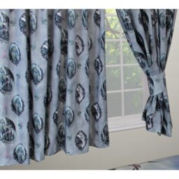 Protector of Magic Lisa Parker Bluxome  Pencil Pleat Curtains