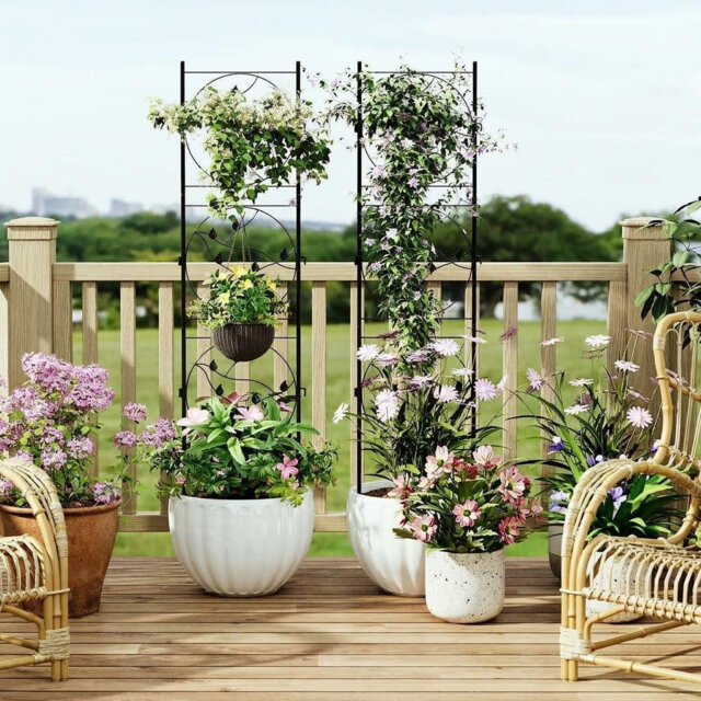 2 PCS 52x182cm Black Metal Garden Trellis, Elegant Screen, Sturdy Rustproof Plant Support for Climbing Plants Roses Vines Vegetables, Indoor Outdoor D