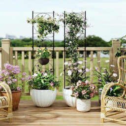 2 PCS 52x182cm Black Metal Garden Trellis, Elegant Screen, Sturdy Rustproof Plant Support for Climbing Plants Roses Vines Vegetables, Indoor Outdoor D