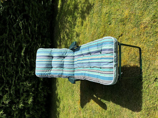 Celinez Steel Outdoor Lounge Chair
