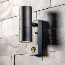 Brandais 22cm H Outdoor Wall Lantern