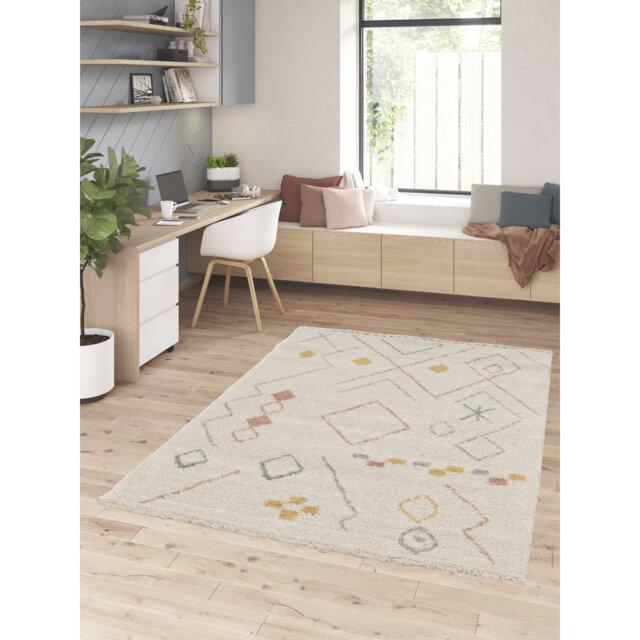 Barretti Rectangle Moroccan Shag