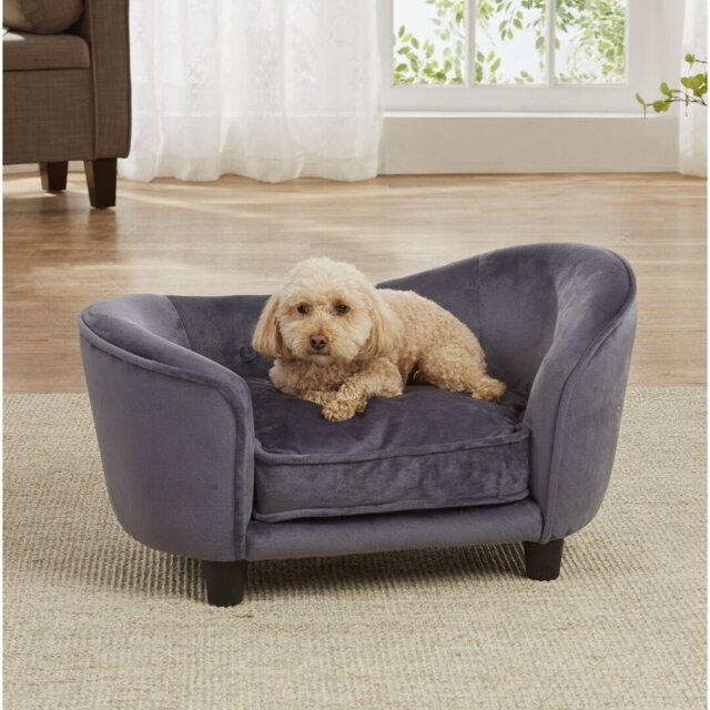 Connie Dog Sofa in Grey