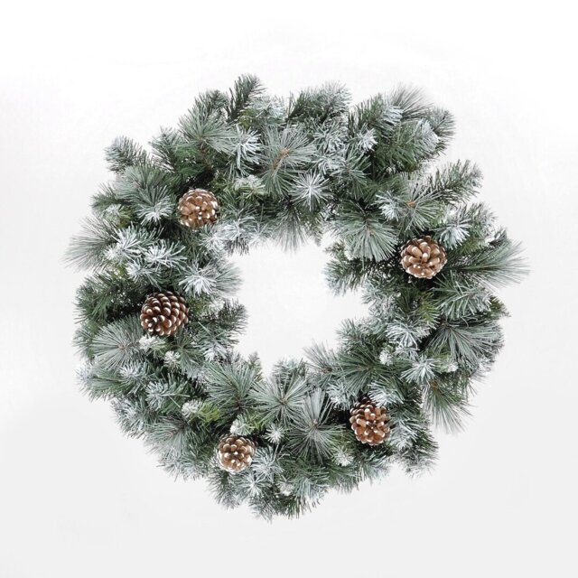 Frosted Glacier 60cm Fir Wreath