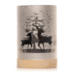 LED Indoor / Outdoor Single Christmas Light