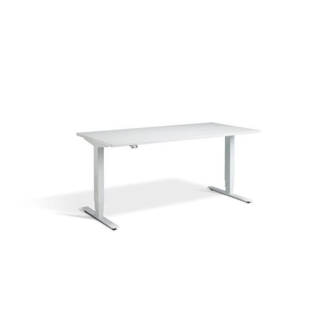 Trexler Standing Desk