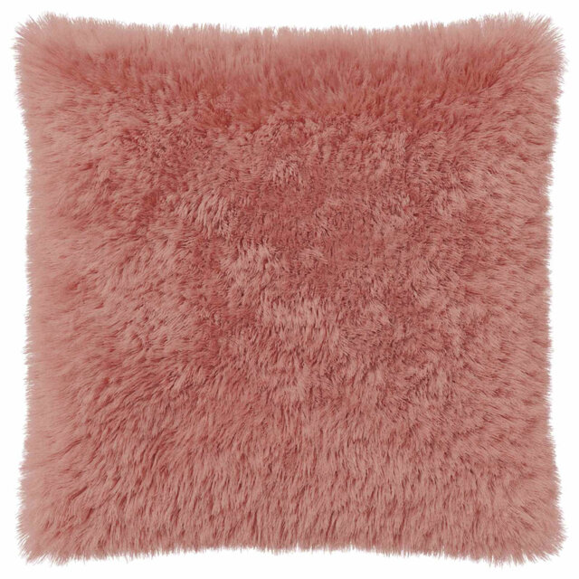 Cushion