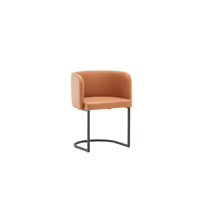 Adetomiwa 48.5cm H Polyester Upholstered Metal Cantilever Chair