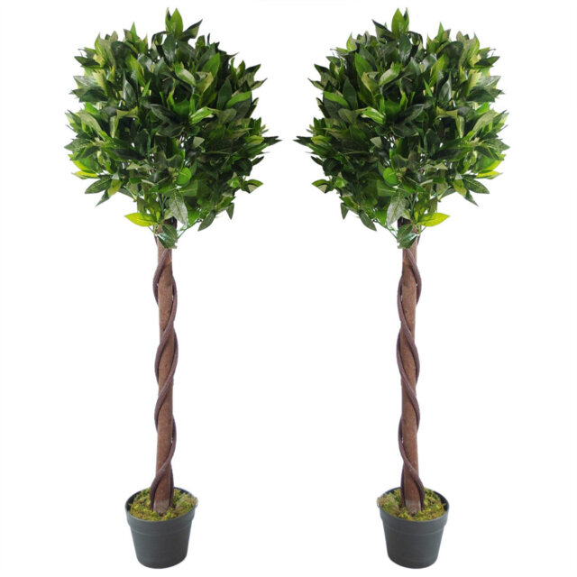 Artificial Topiary Bay Laurel Natural Trees Pair of 120cm 4ft Real Wood Trunk