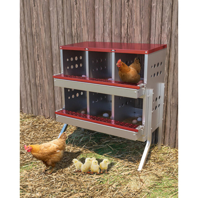 6-Compartment Galvanized Steel Chicken Nesting Box – Front Access Roll-Away Tray, Easy Wall Mount, with 6 Training Eggs for Backyard Coop