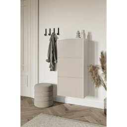 Celida 4 Pair Shoe Storage Cabinet