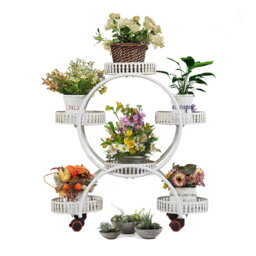 Plant Stand - Set of 6
