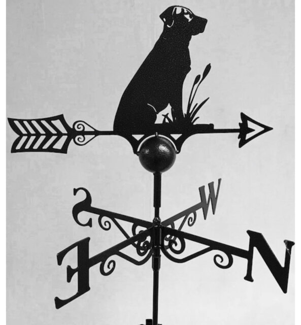 Cyran Weathervane
