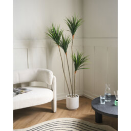 165 cm H Faux Palm Plant in Plastic Pot