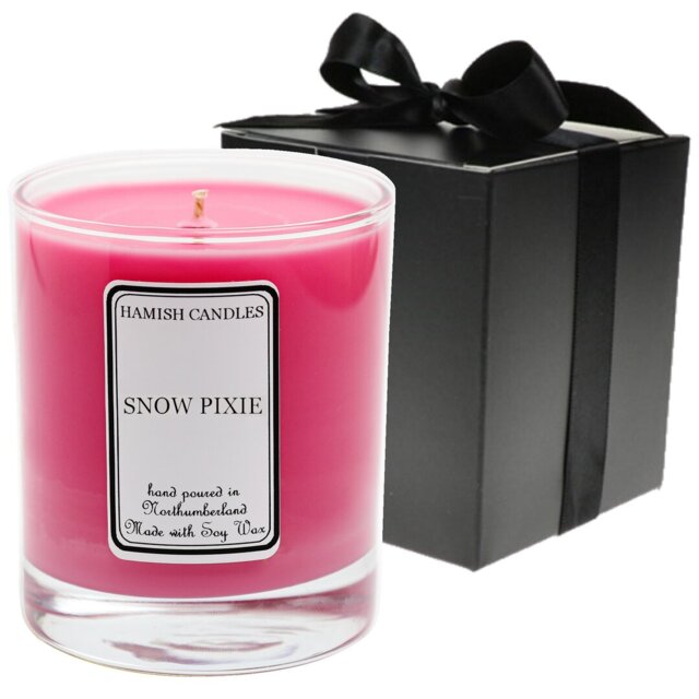 Snow Pixie Scented Jar Candle with Glass Holder