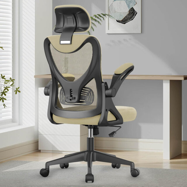 Ergonomic Office Chair, Computer Chair, Mesh Chair