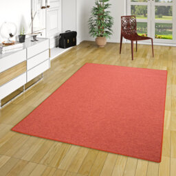 Terracotta Rug