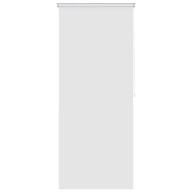 Room Darkening Roll-Up Shade