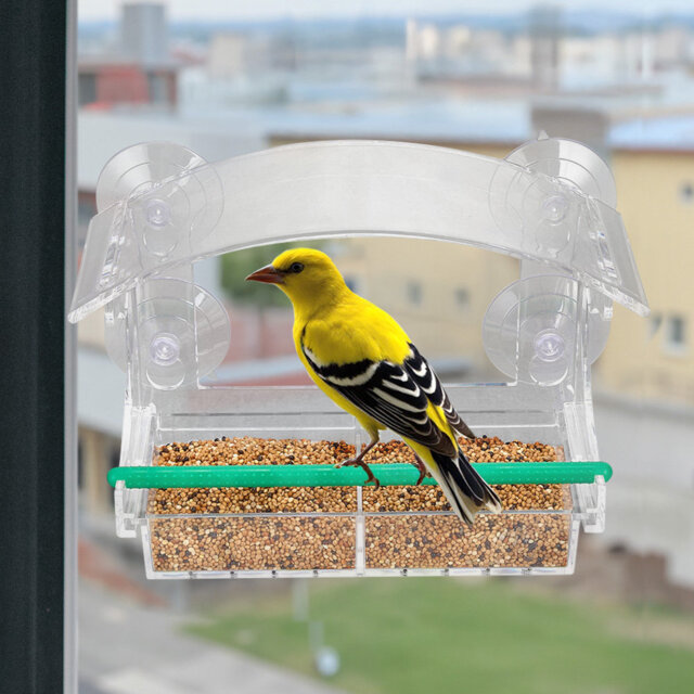Water Resistant Tray Bird Feeder
