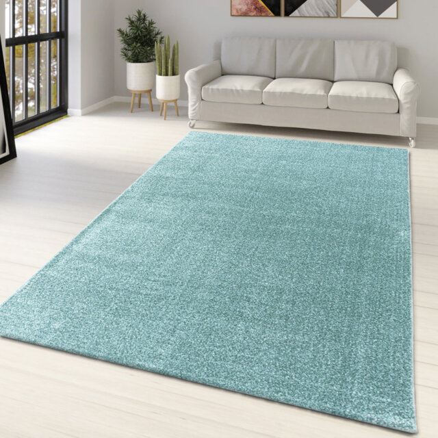 Daebreona Teal Rug