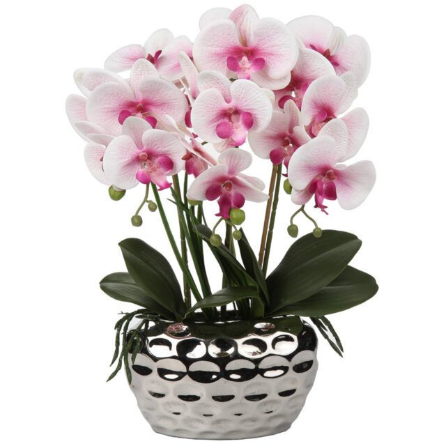 Rowney Arrangement
