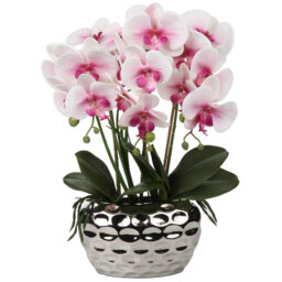 Rowney Arrangement