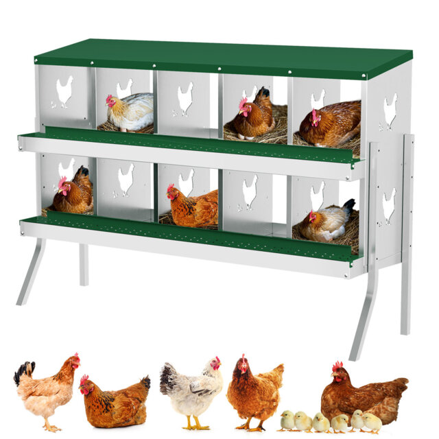 Chicken Coop