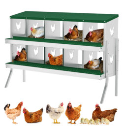 Chicken Coop